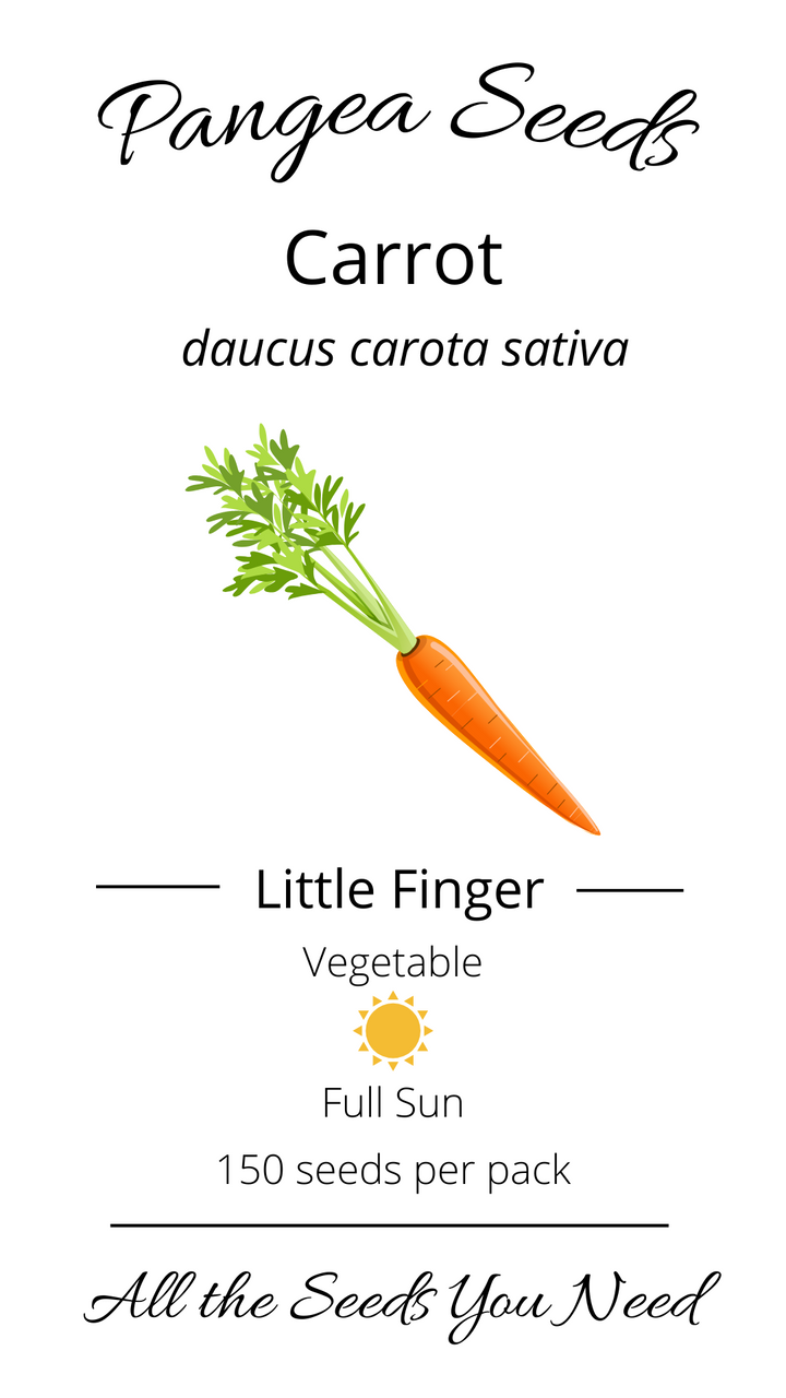 Little Finger Carrot