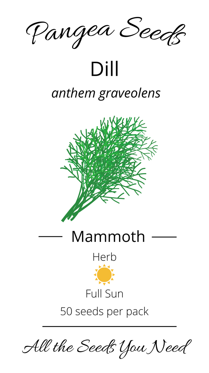 Mammoth Dill