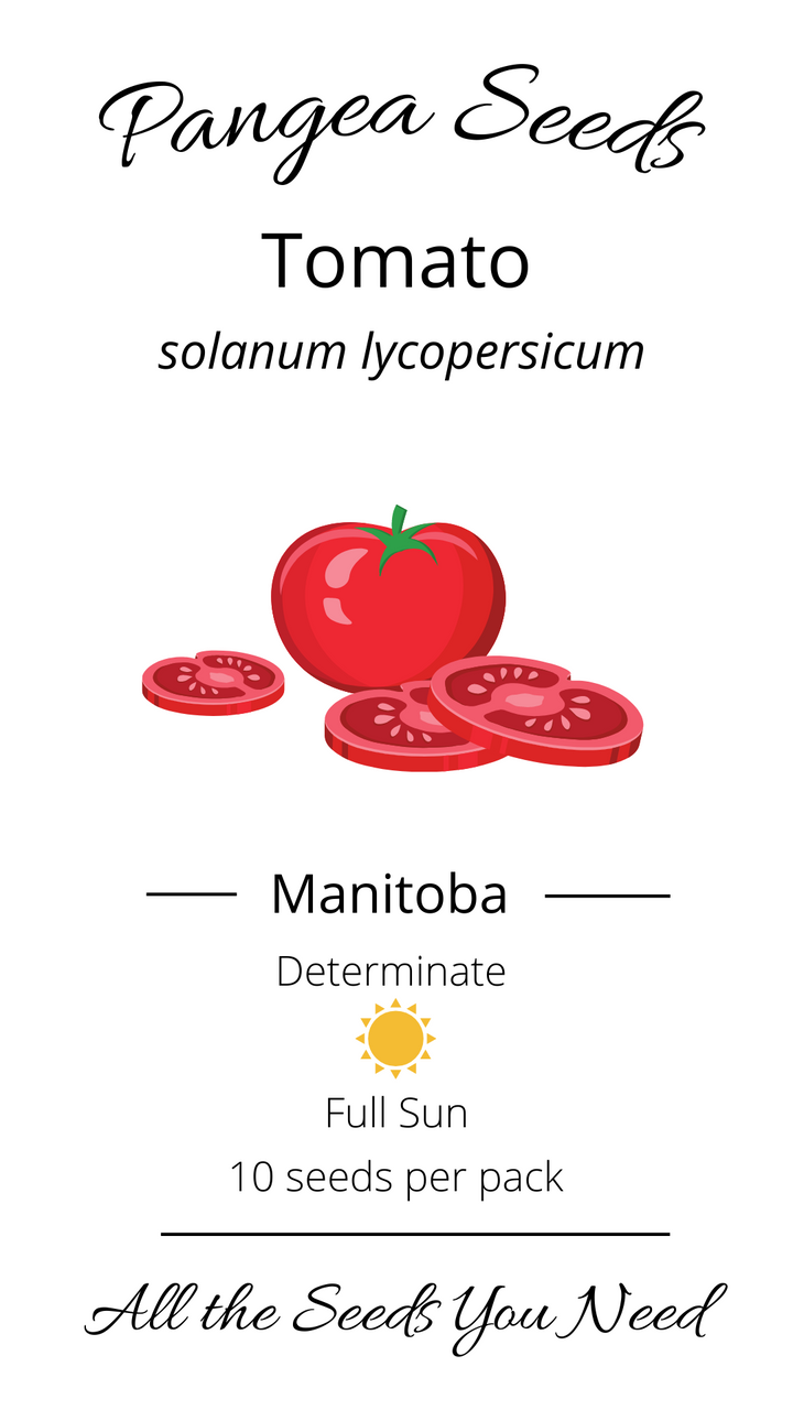 Manitoba Tomato