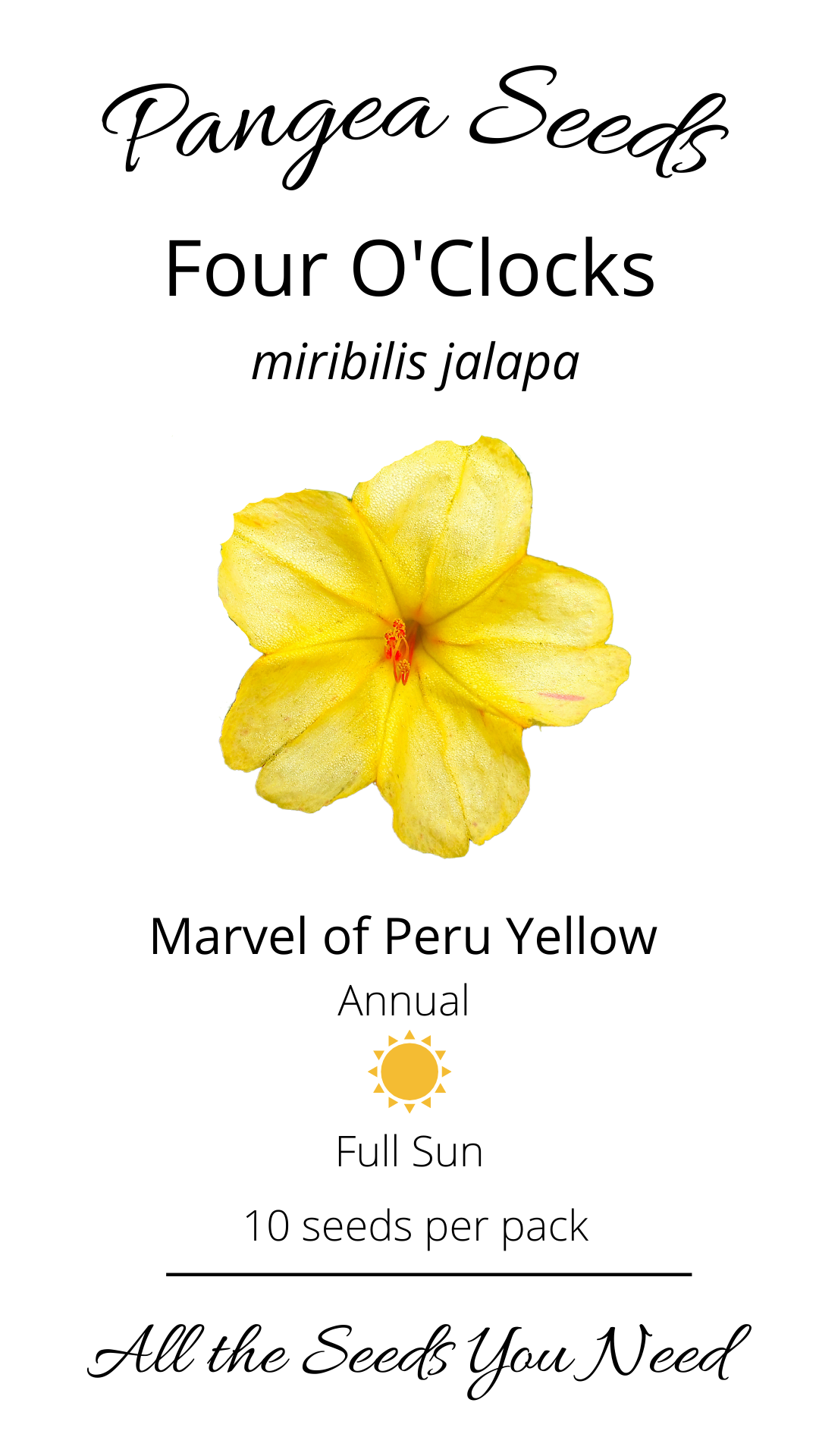 Marvel of Peru Yellow