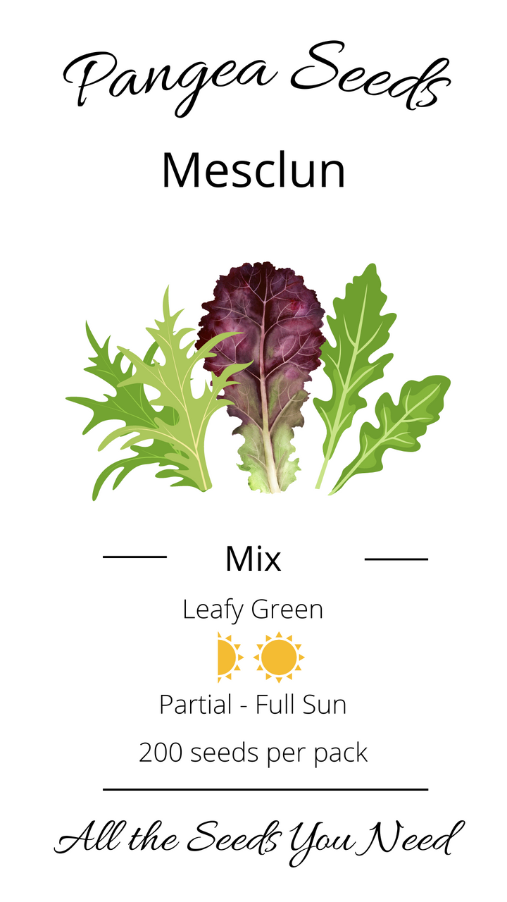 Mesclun Mix