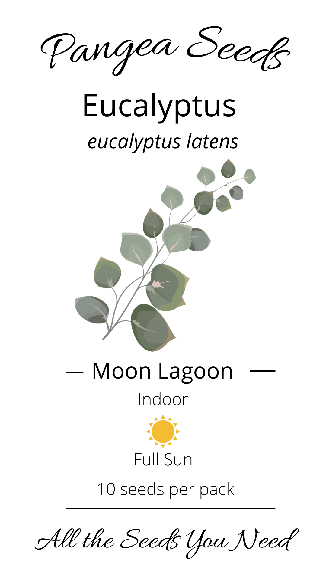 Moon Lagoon Eucalyptus