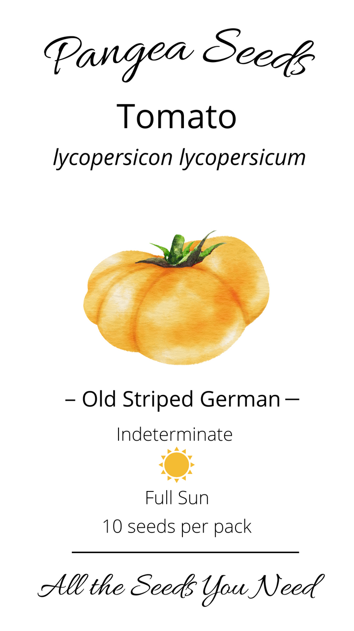 Old Striped German Tomato