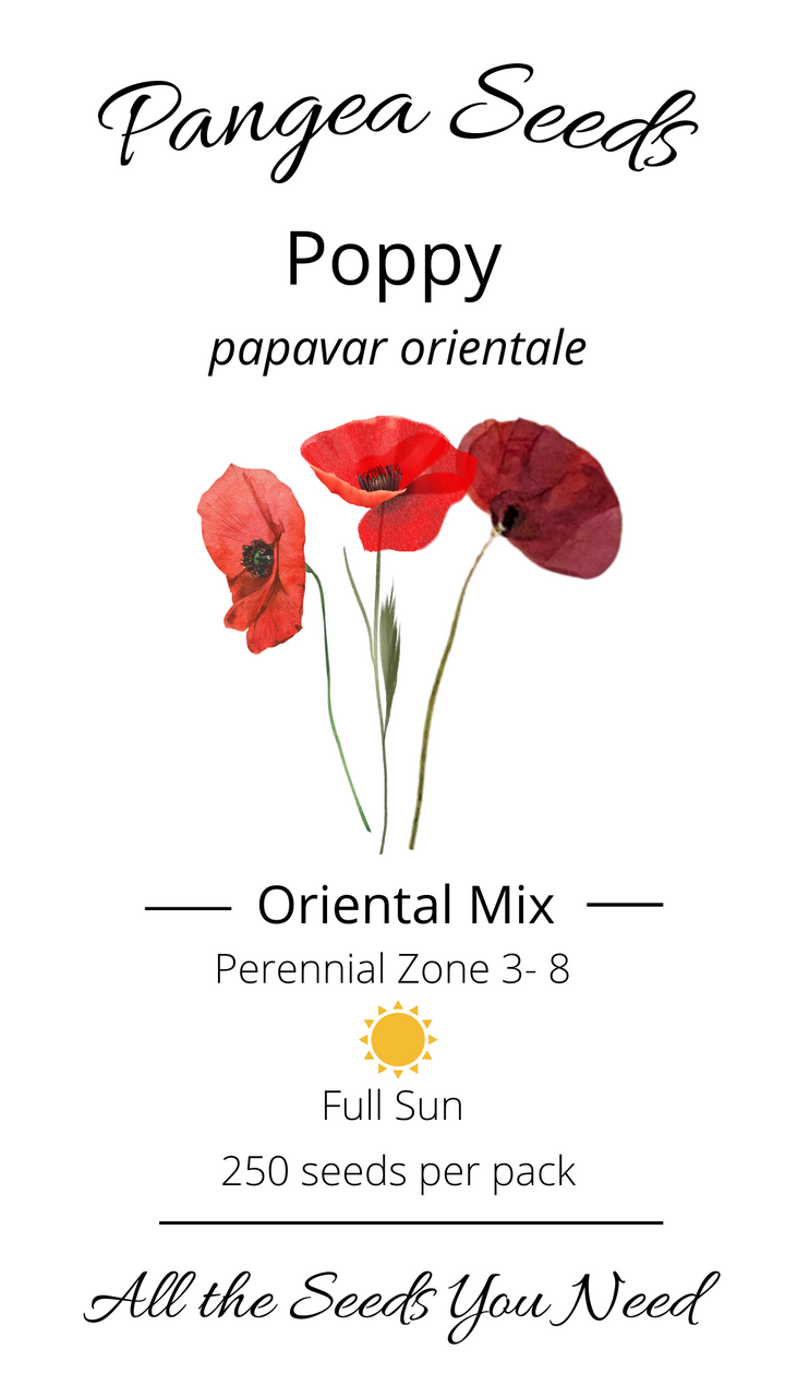 Oriental Poppy Mix