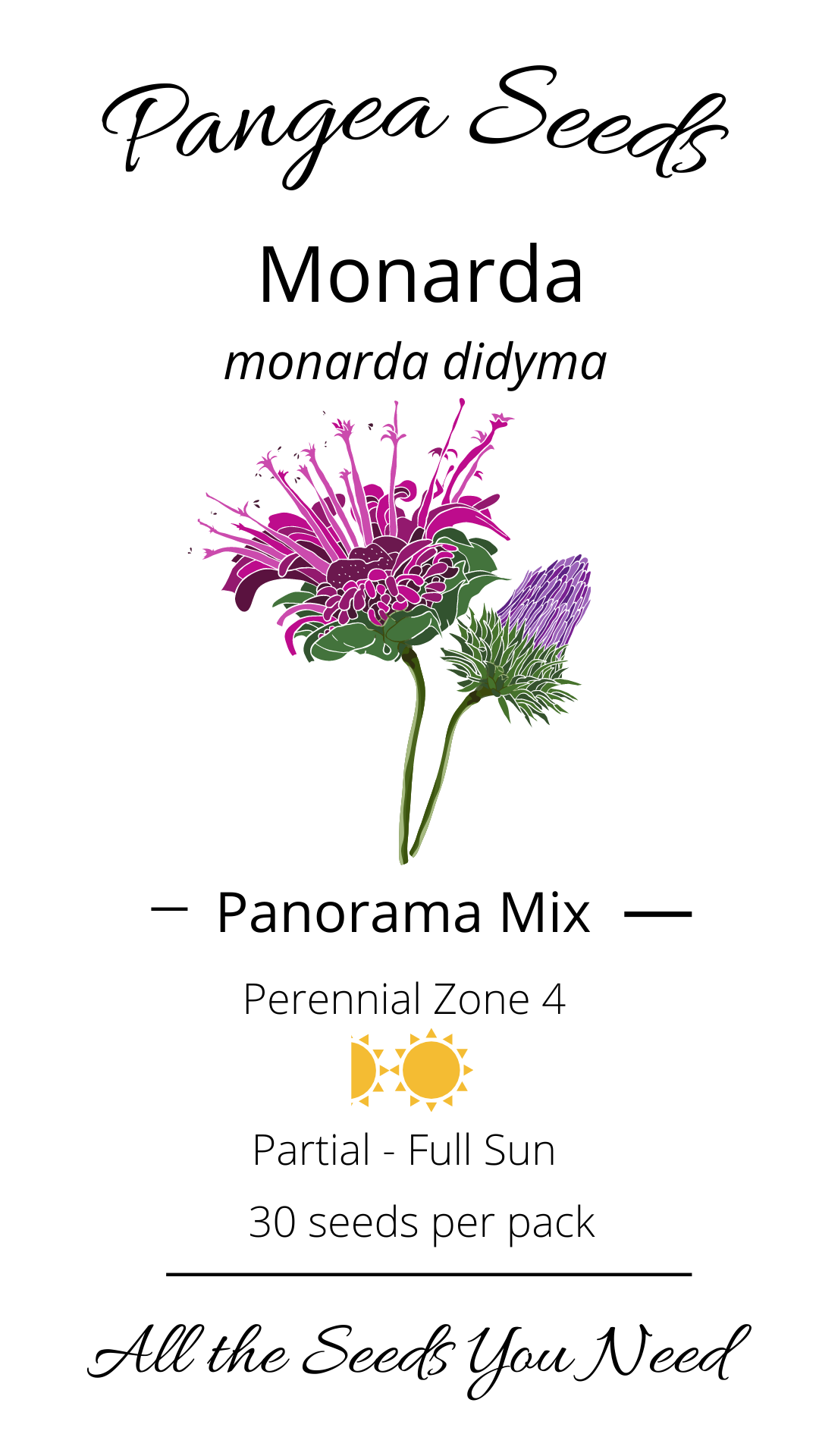 Panorama Mix Monarda