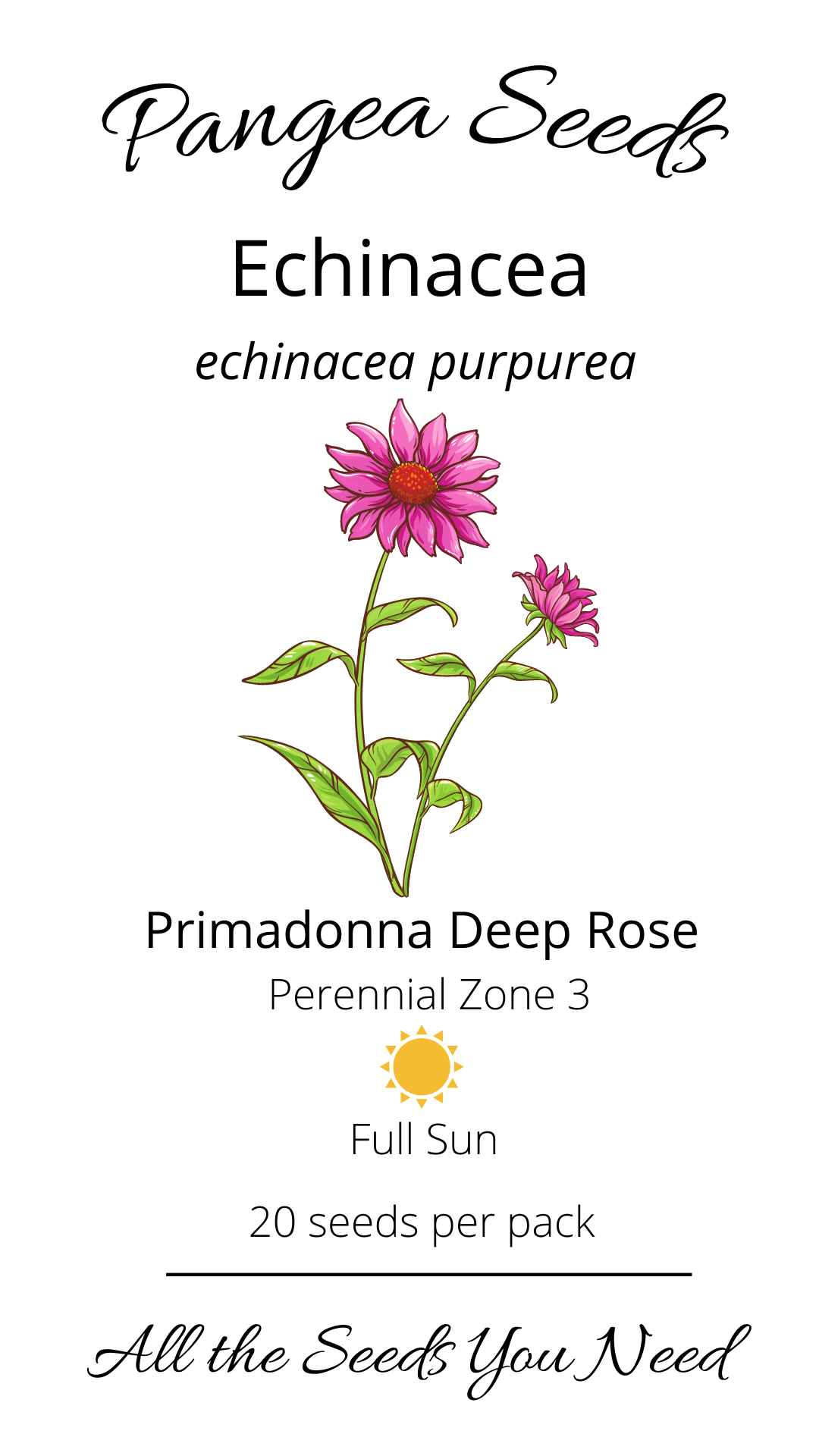 Primadonna Deep Rose Echinacea