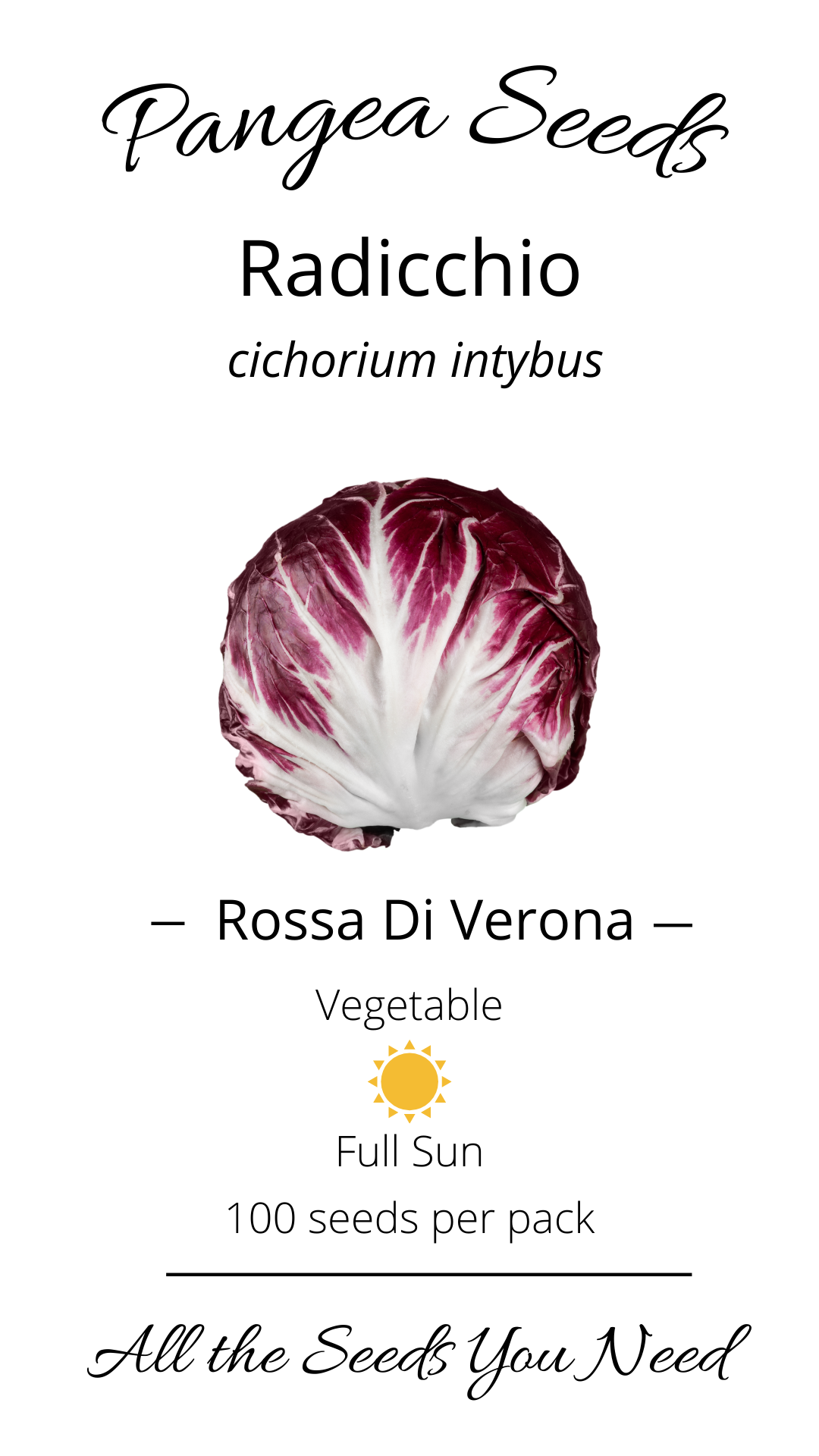 Rossa di Verona Radicchio