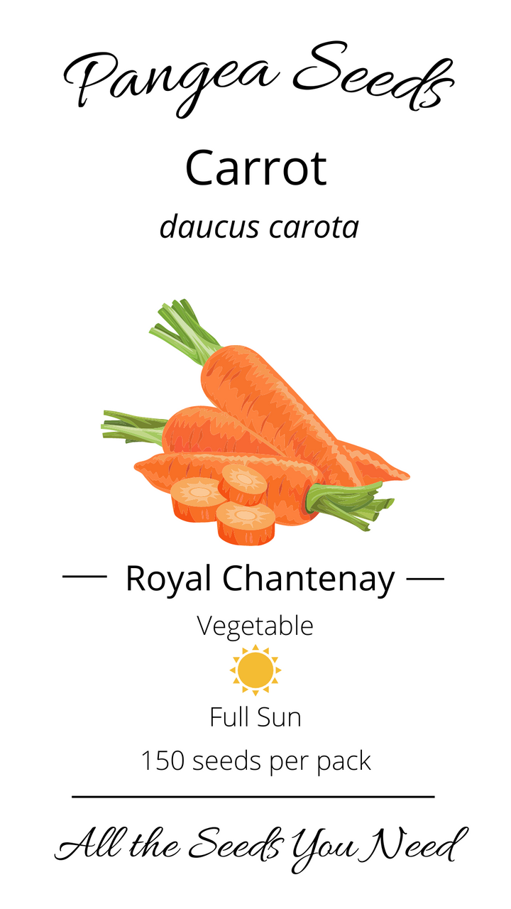 Royal Chantenay Carrot