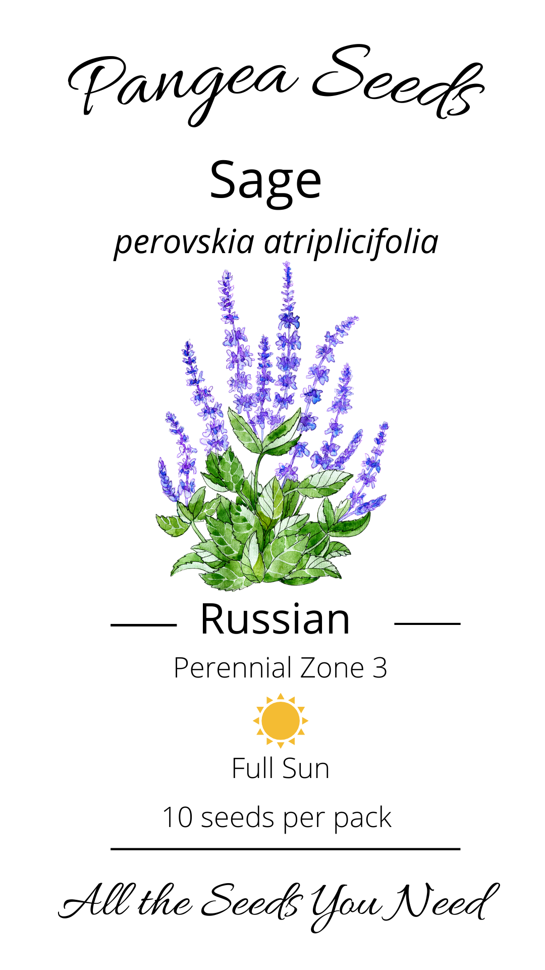 Russian Sage