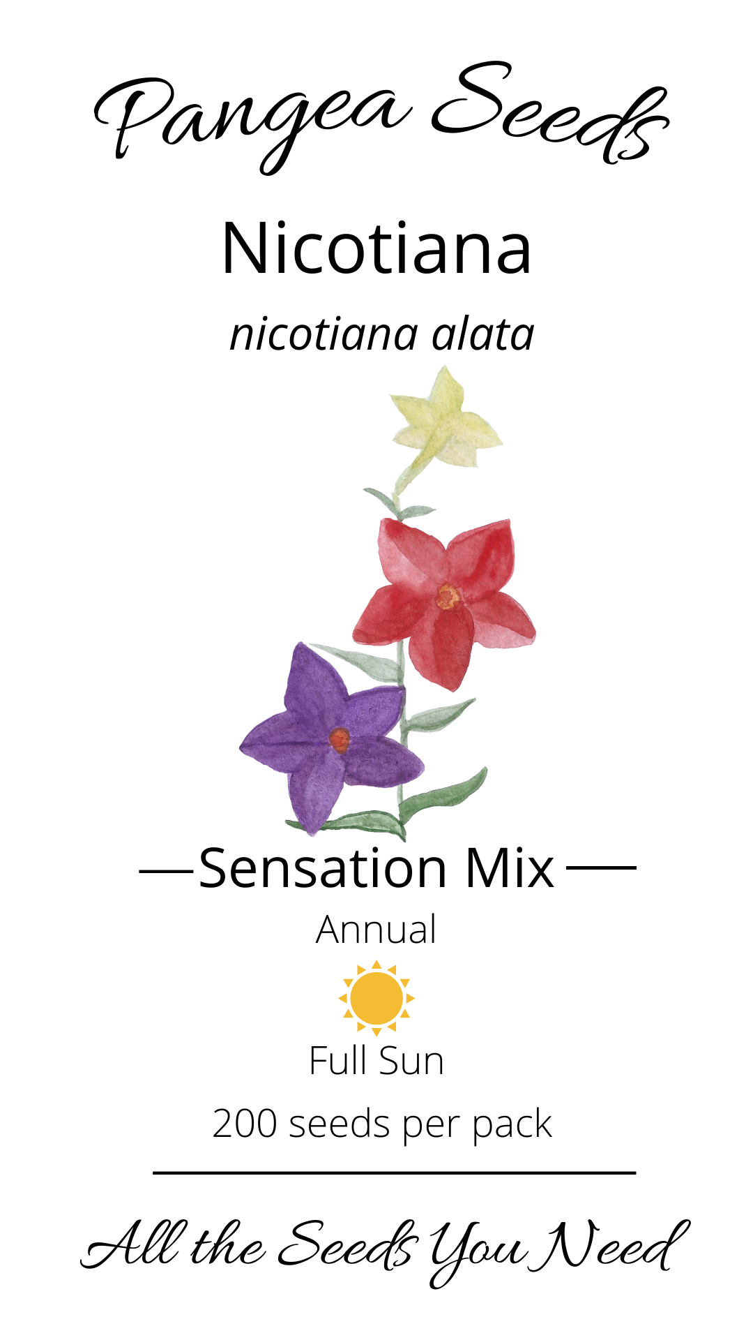 Sensation Mix Nicotiana