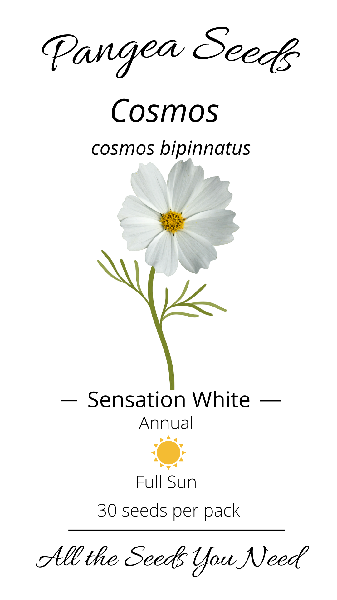 Sensation White Cosmos