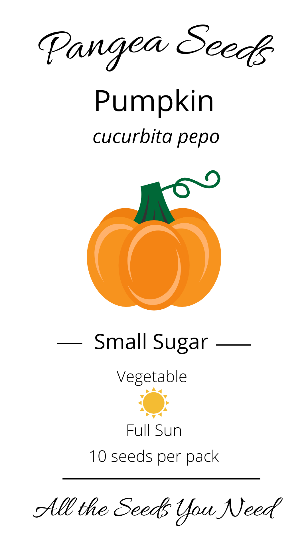 Small Sugar Pumpkin