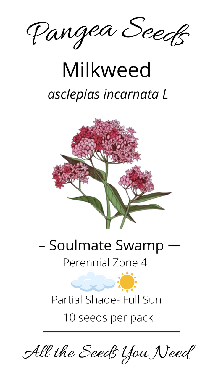 Soulmate Swamp Milkweed