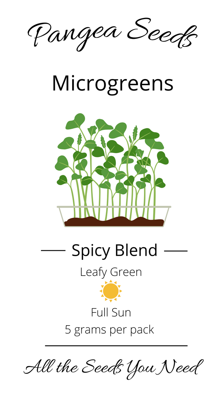 Spicy Microgreen Blend