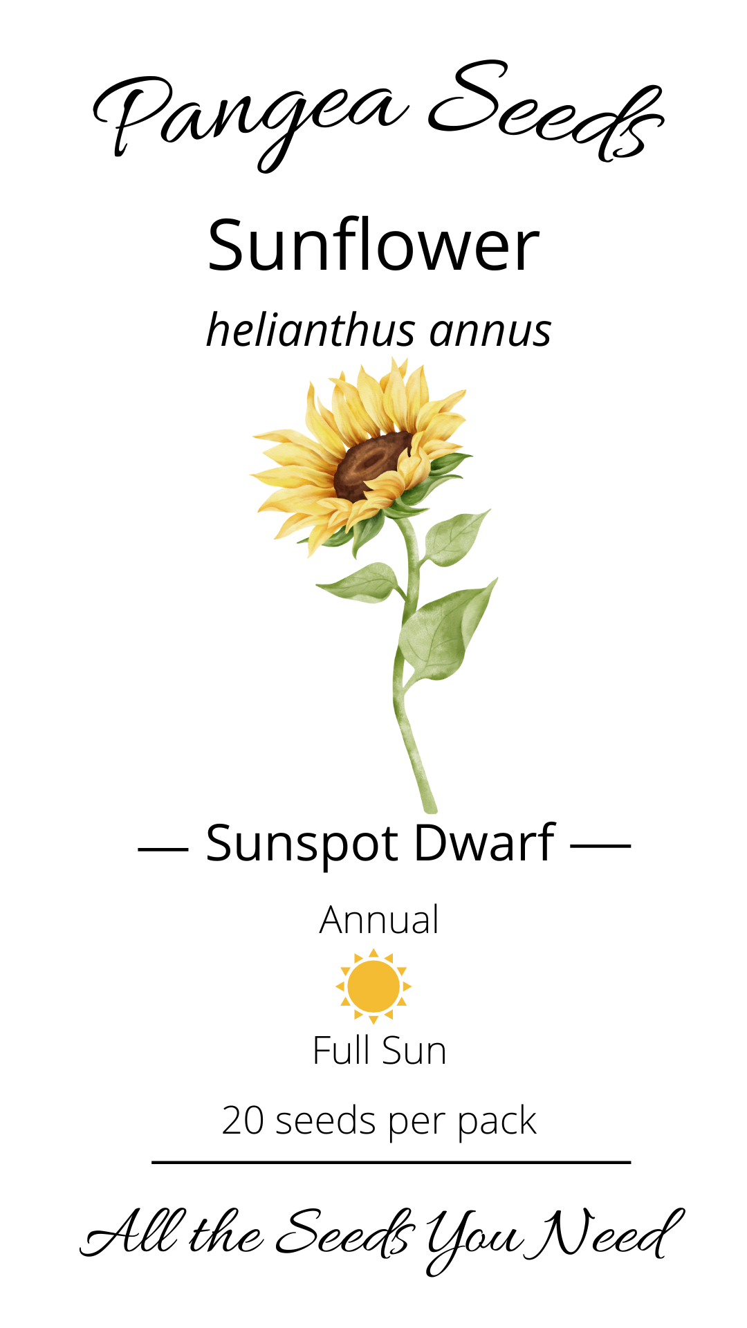 Sunspot Dwarf Sunflower