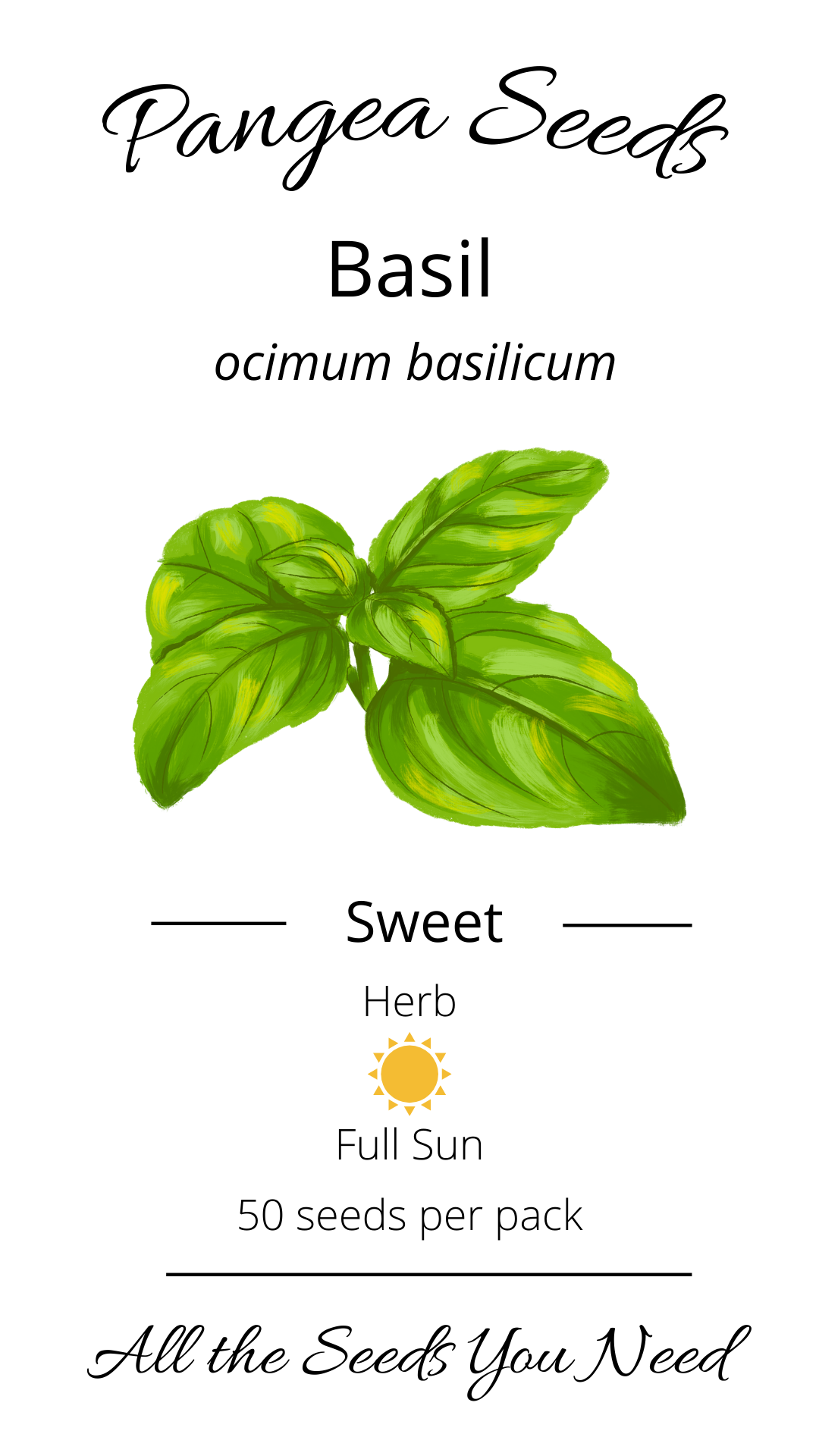 Sweet Basil