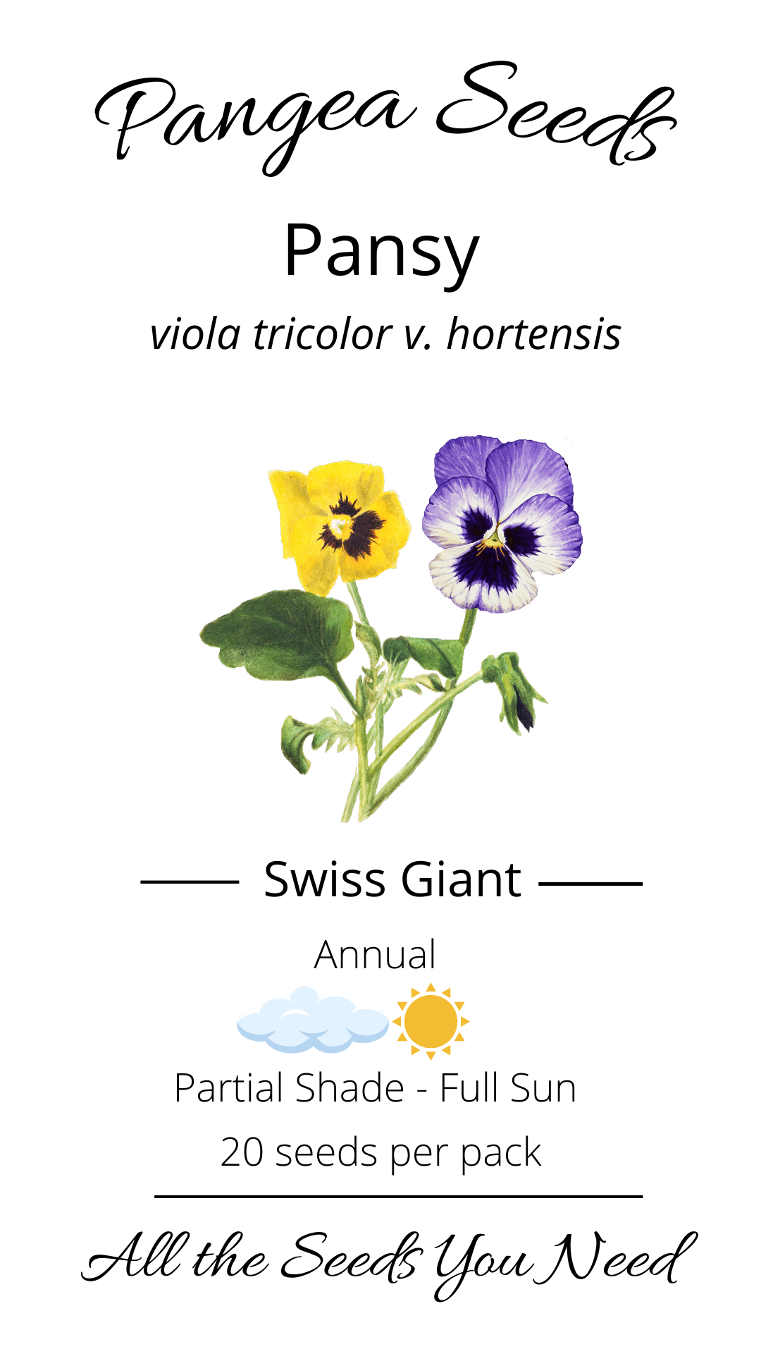 Swiss Giant Pansy