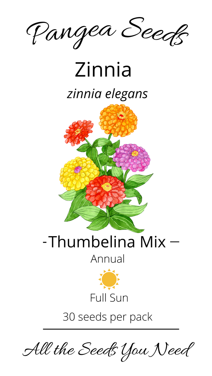 Thumbelina Mix Zinnia