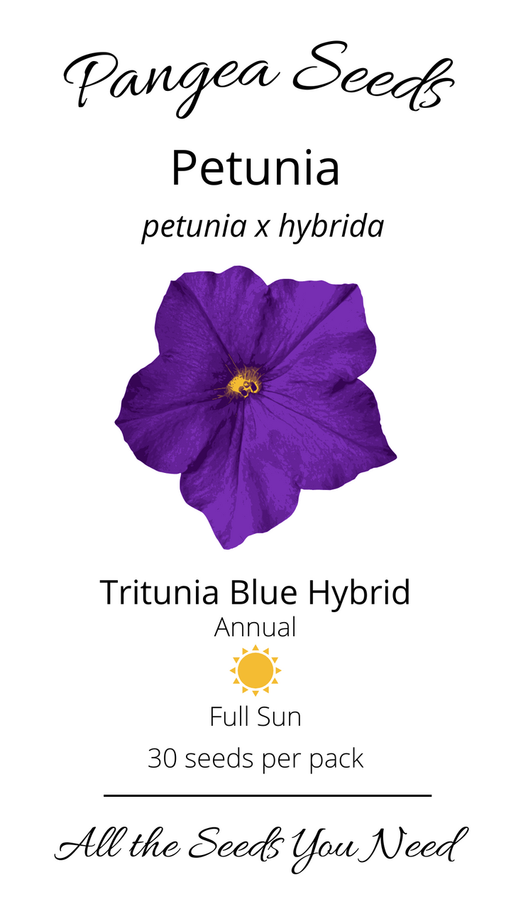 TriTunia™ Blue Hybrid Petunia