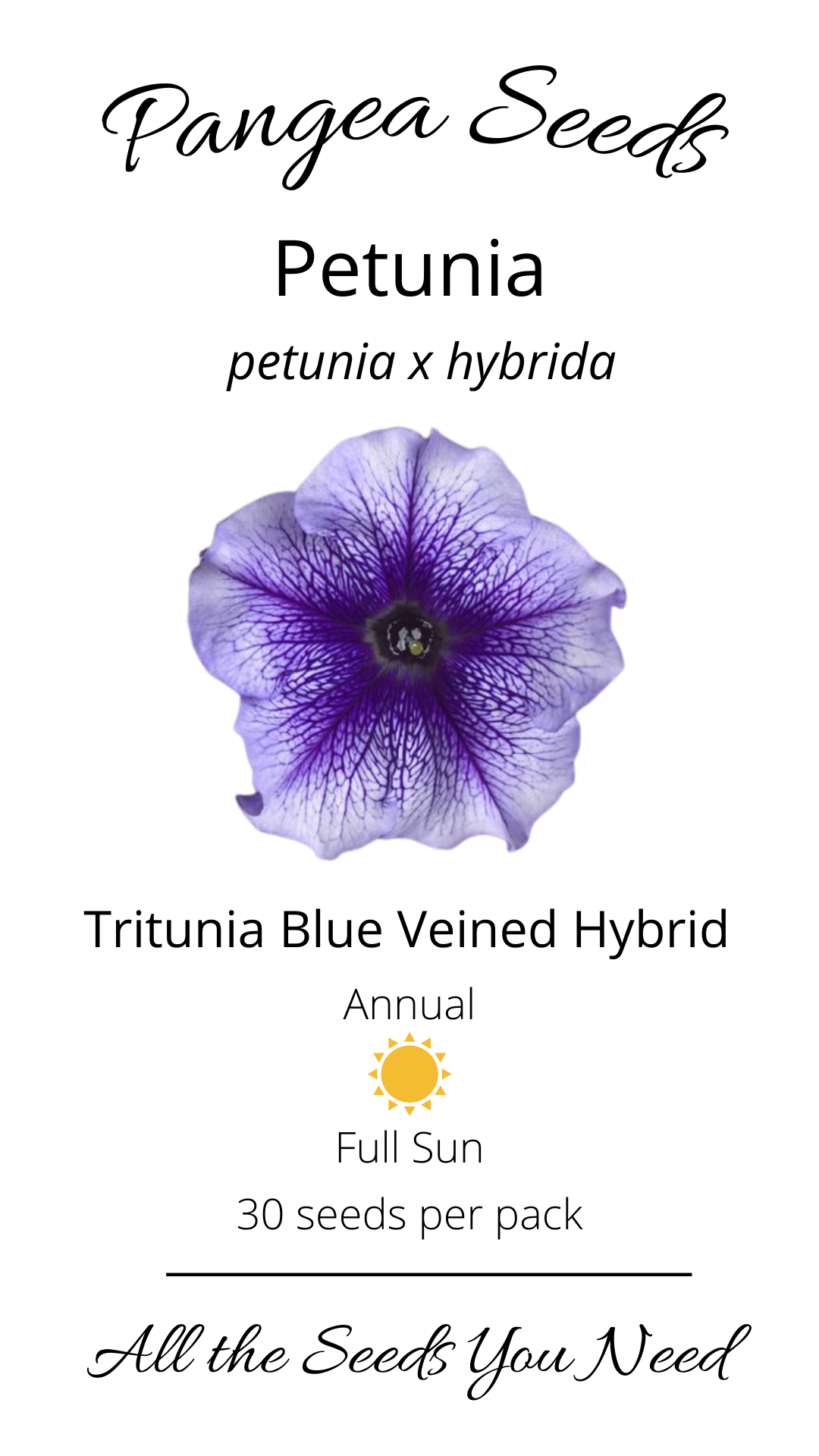 TriTunia™ Blue Veined Hybrid Petunia