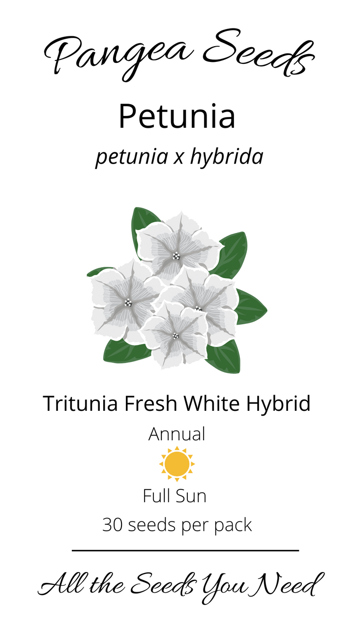 TriTunia™ Fresh White Hybrid Petunia