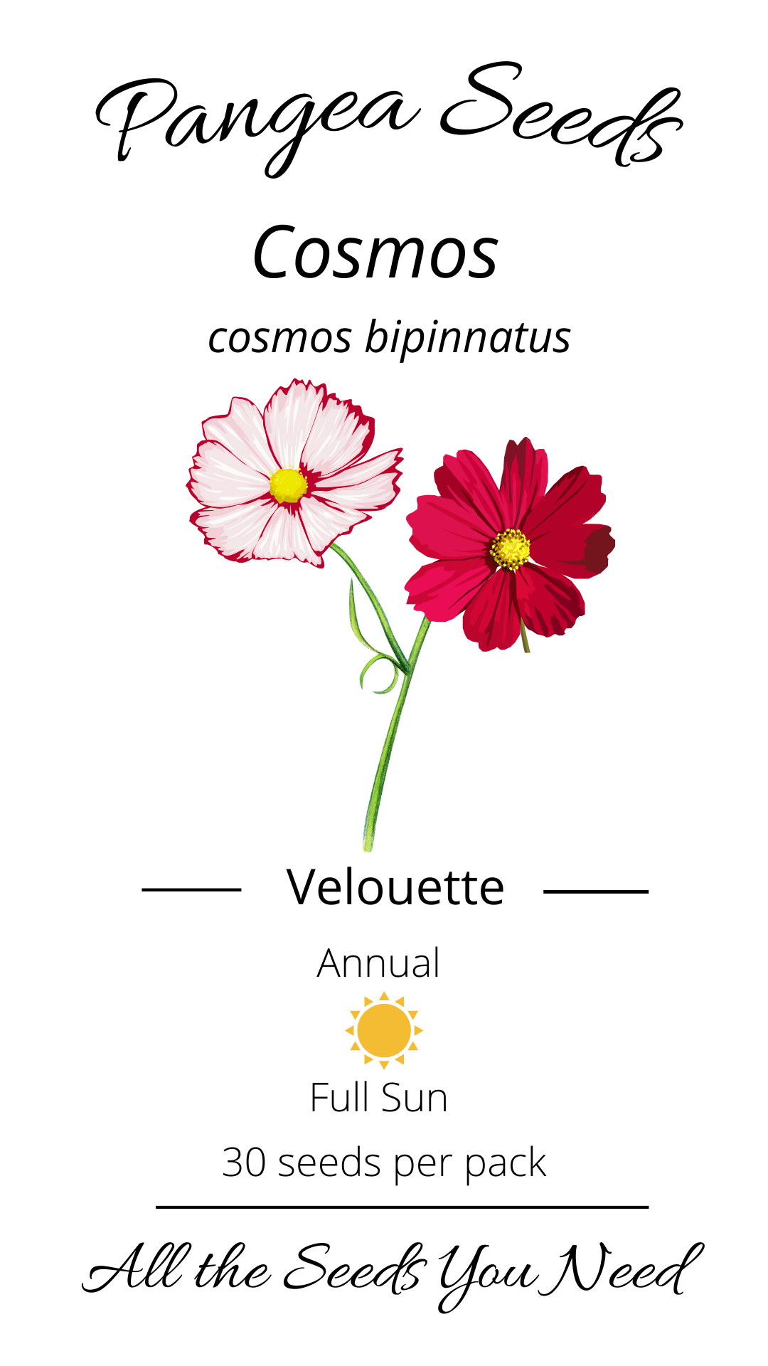 Velouette Cosmos