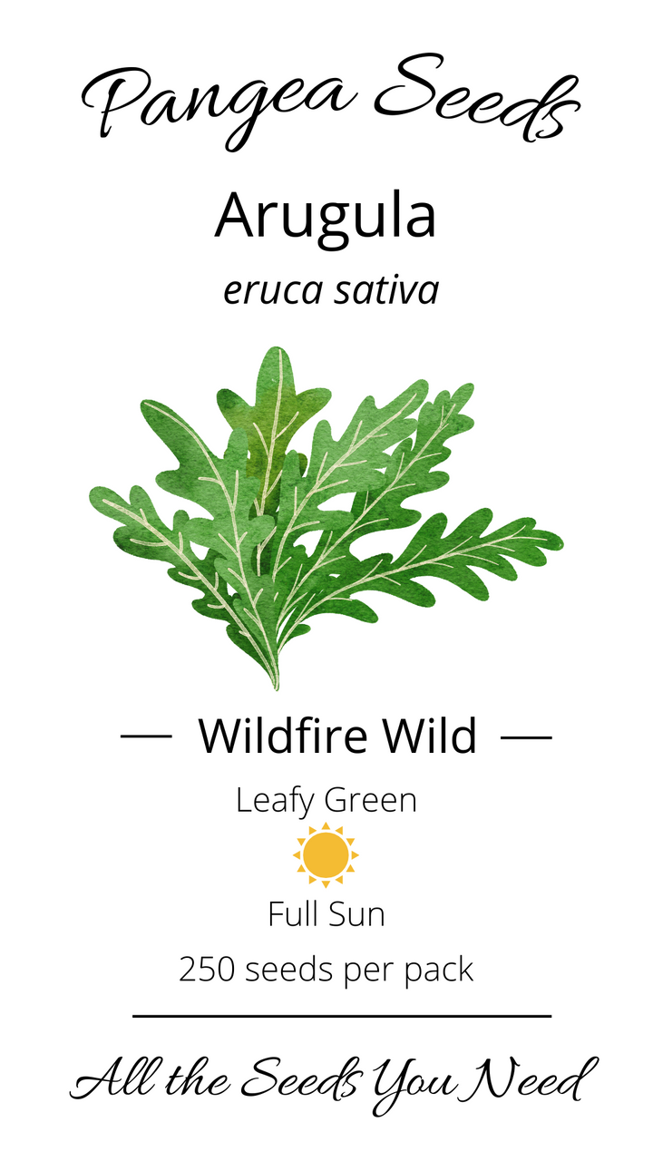 Wildfire Wild Arugula