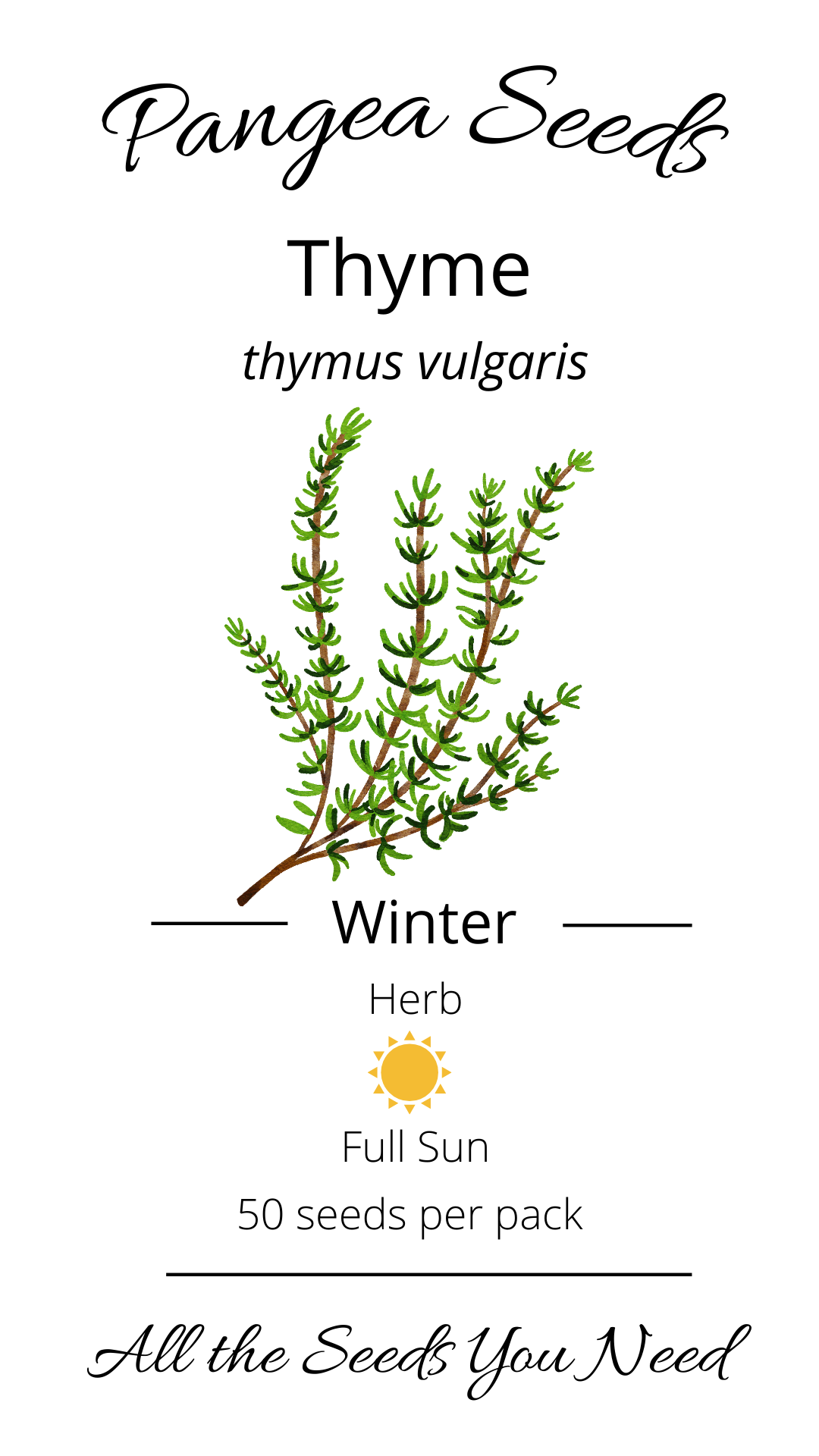 Winter Thyme