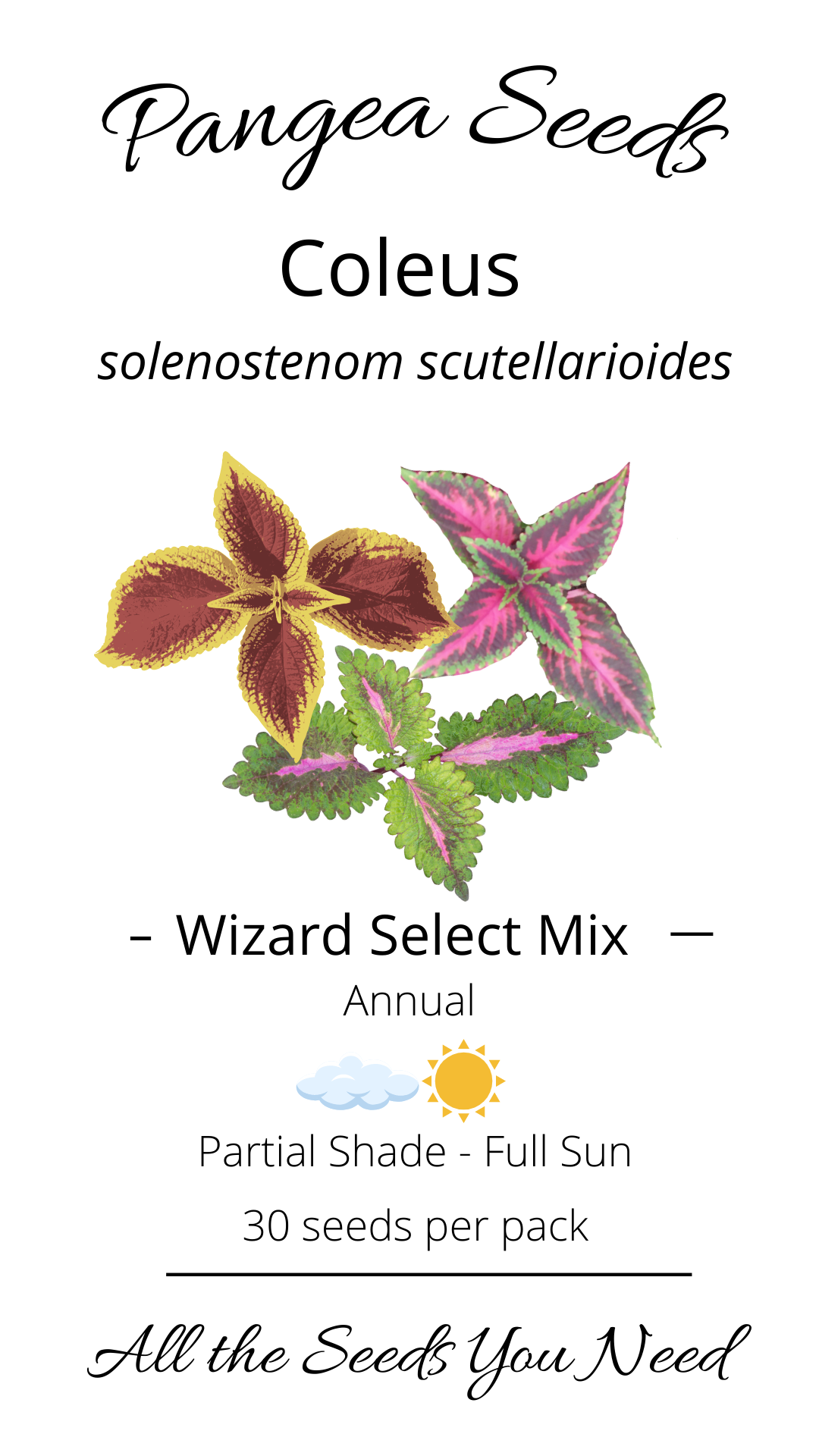 Wizard Select Mix Coleus