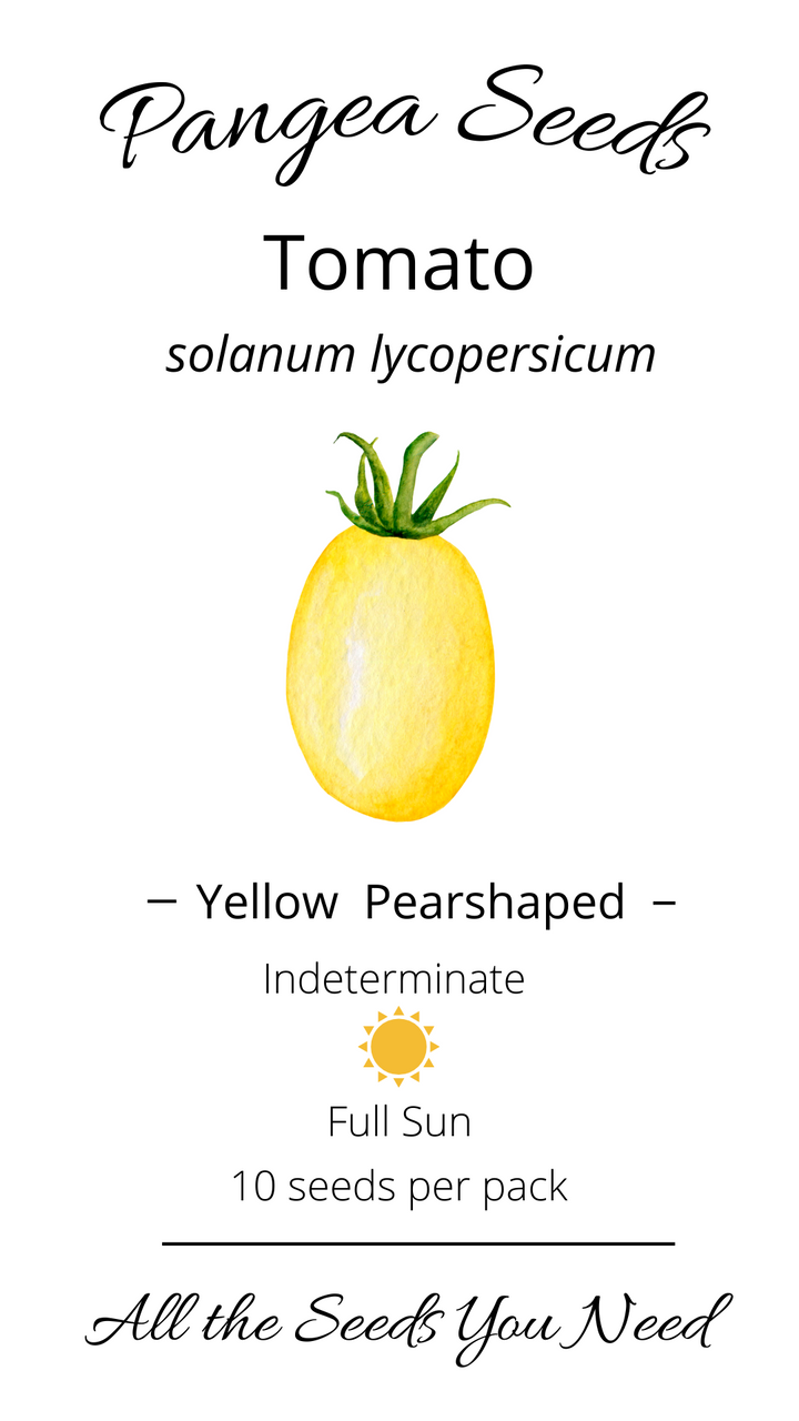 Yellow Pear-Shaped Tomato