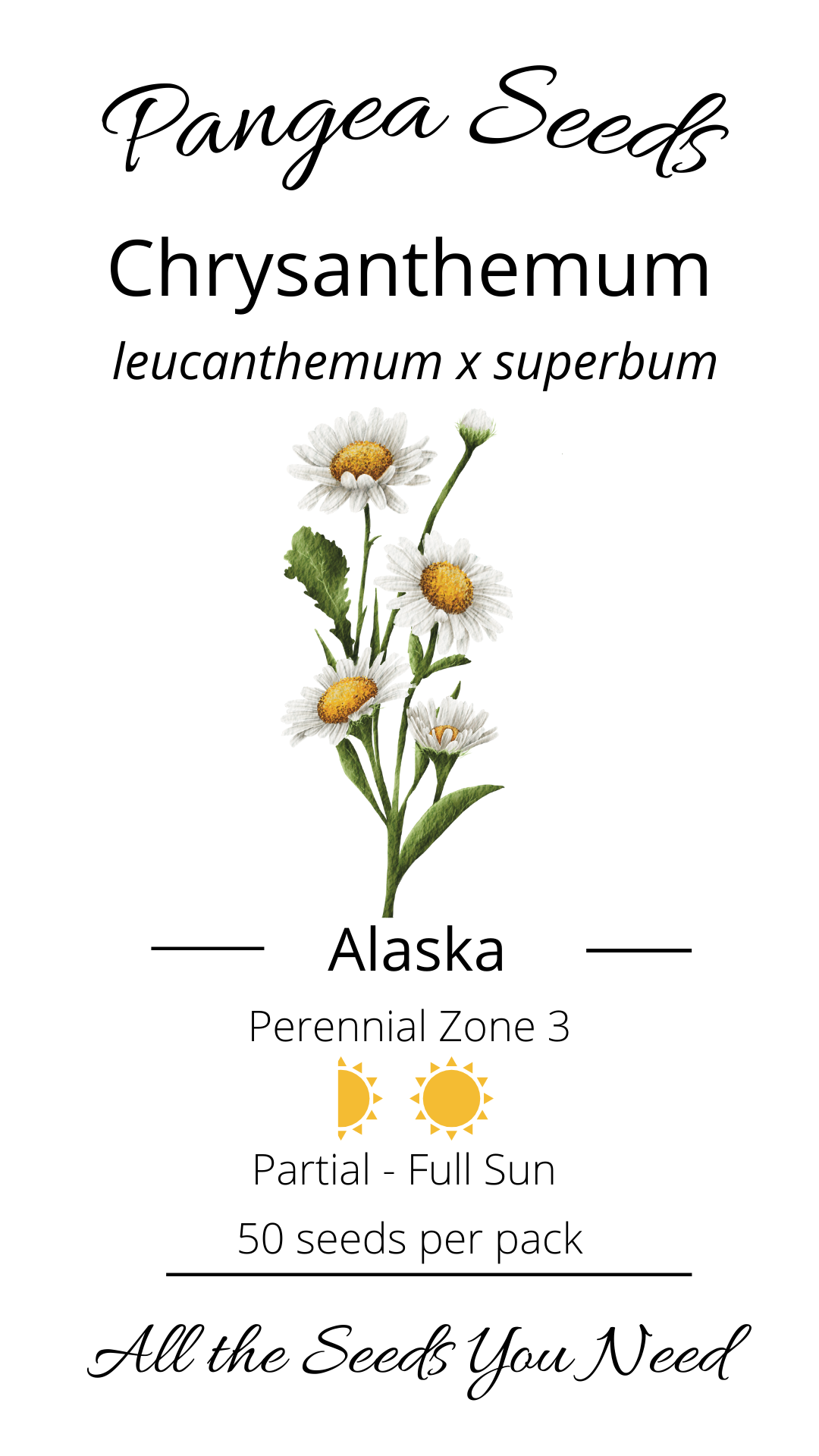 Alaska Chrysanthemum