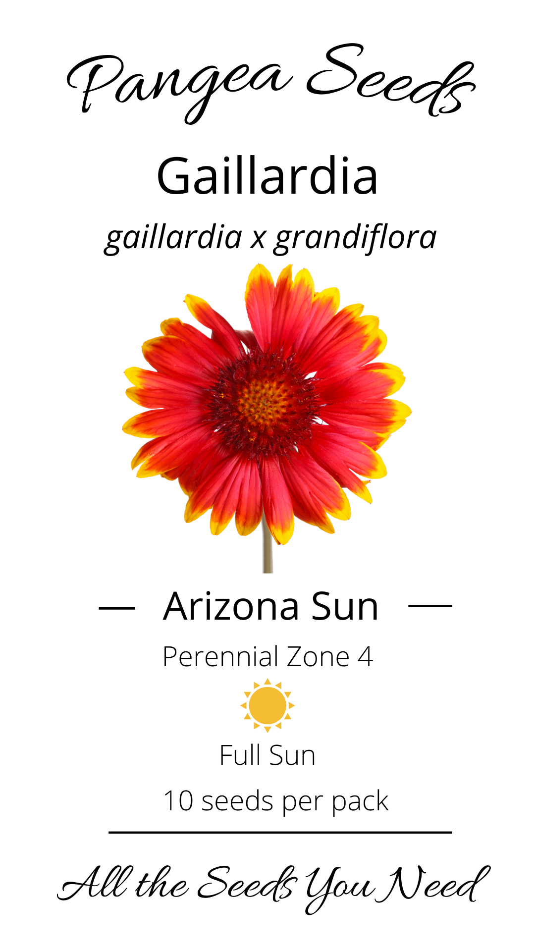 Arizona Sun Gaillardia