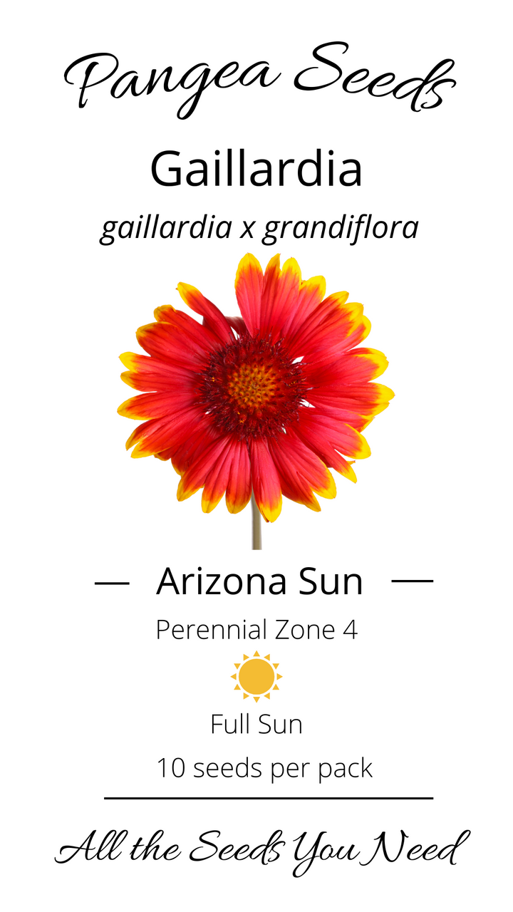 Arizona Sun Gaillardia