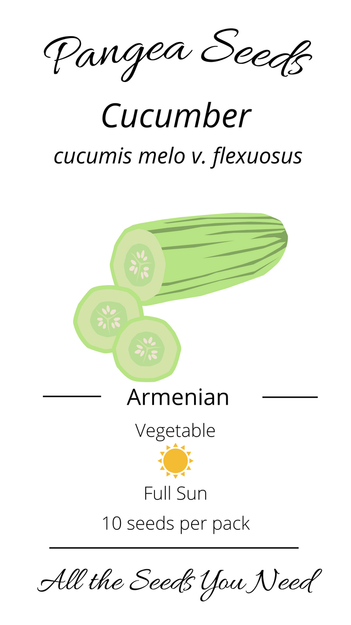 Armenian Cucumber