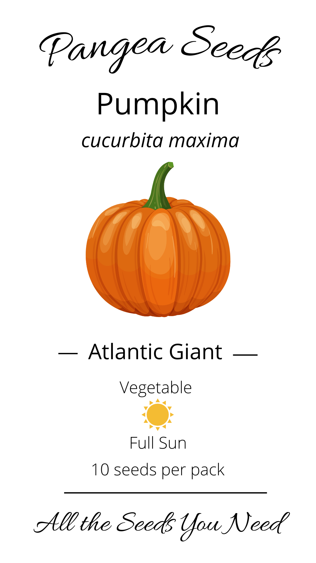 Atlantic Giant Pumpkin