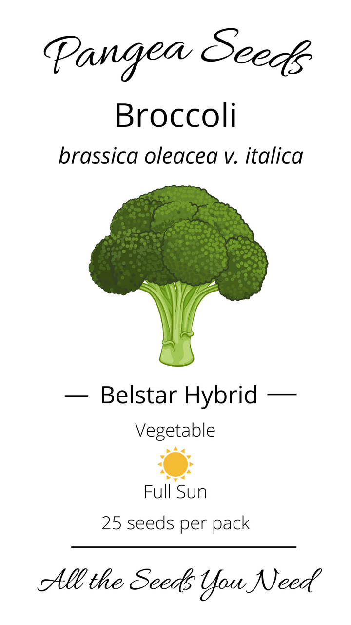 Belstar Hybrid Broccoli