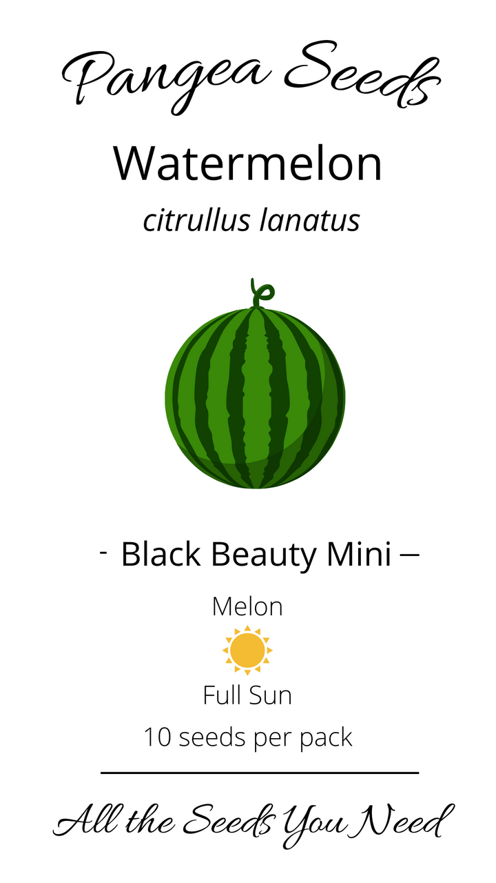 Black Beauty Mini Watermelon