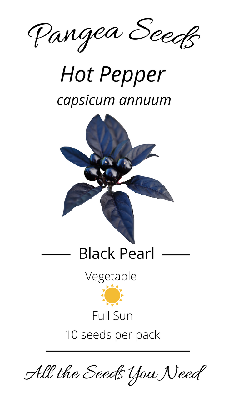 Black Pearl Pepper