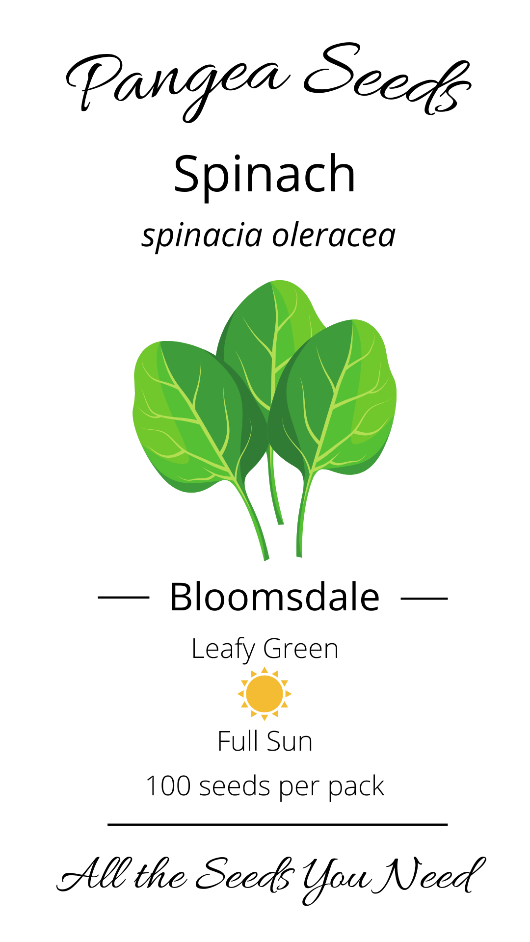 Bloomsdale Spinach