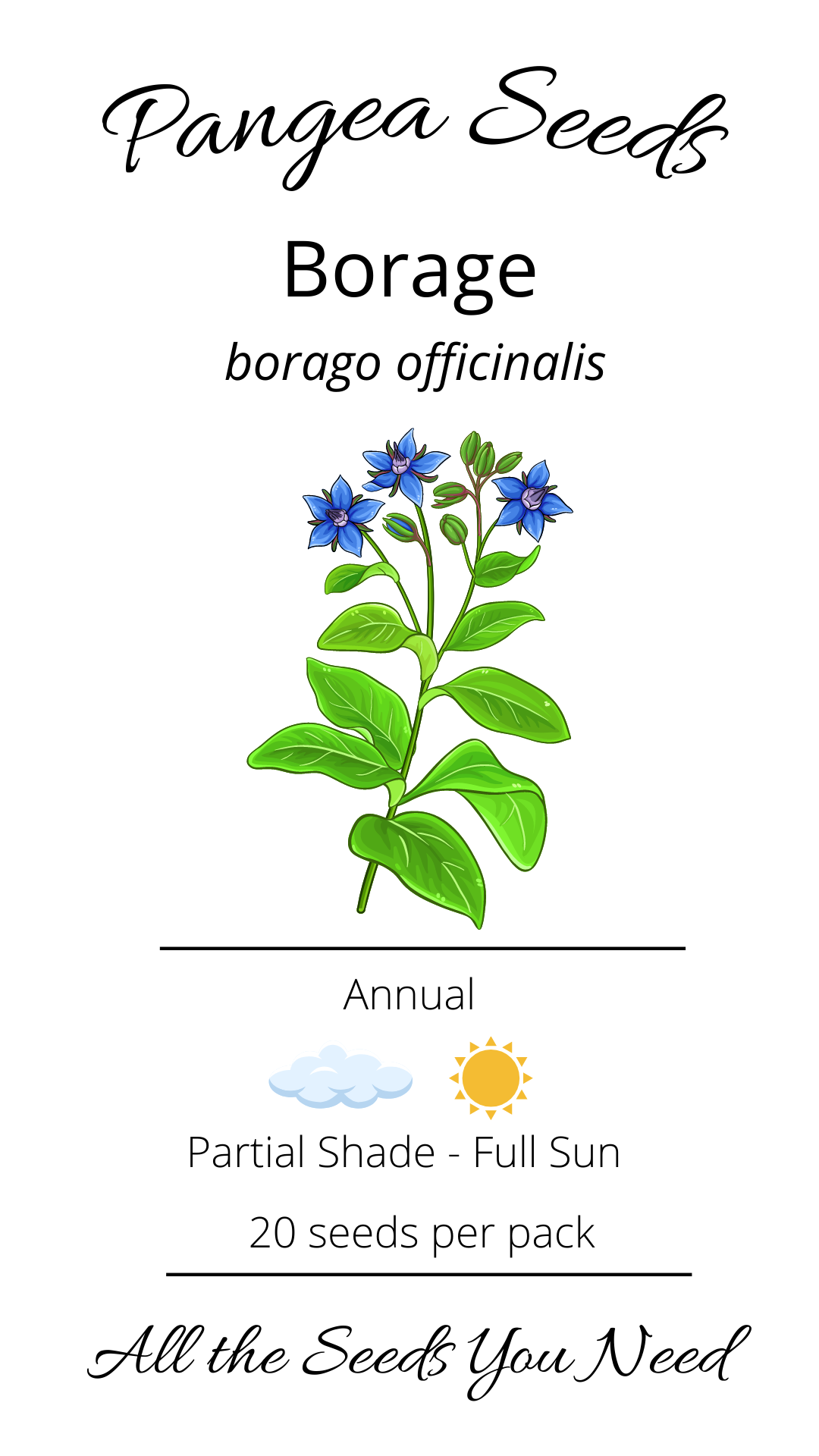 Borage