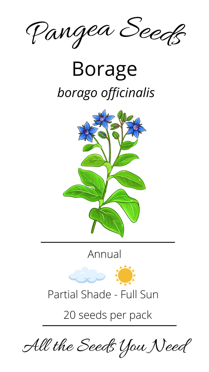 Borage