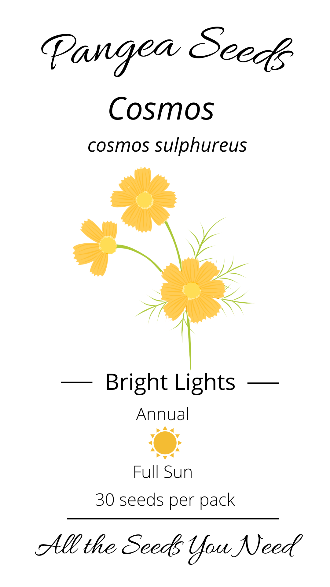 Bright Lights Cosmos