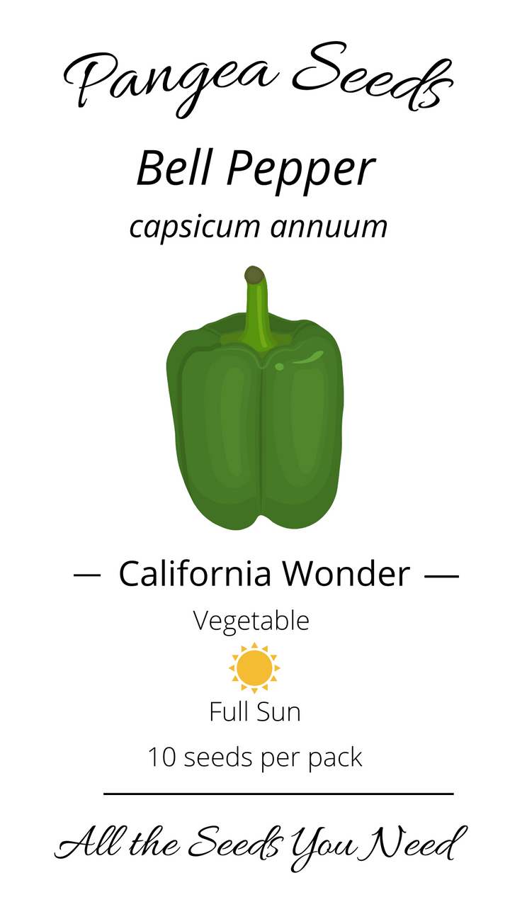 California Wonder Bell Pepper