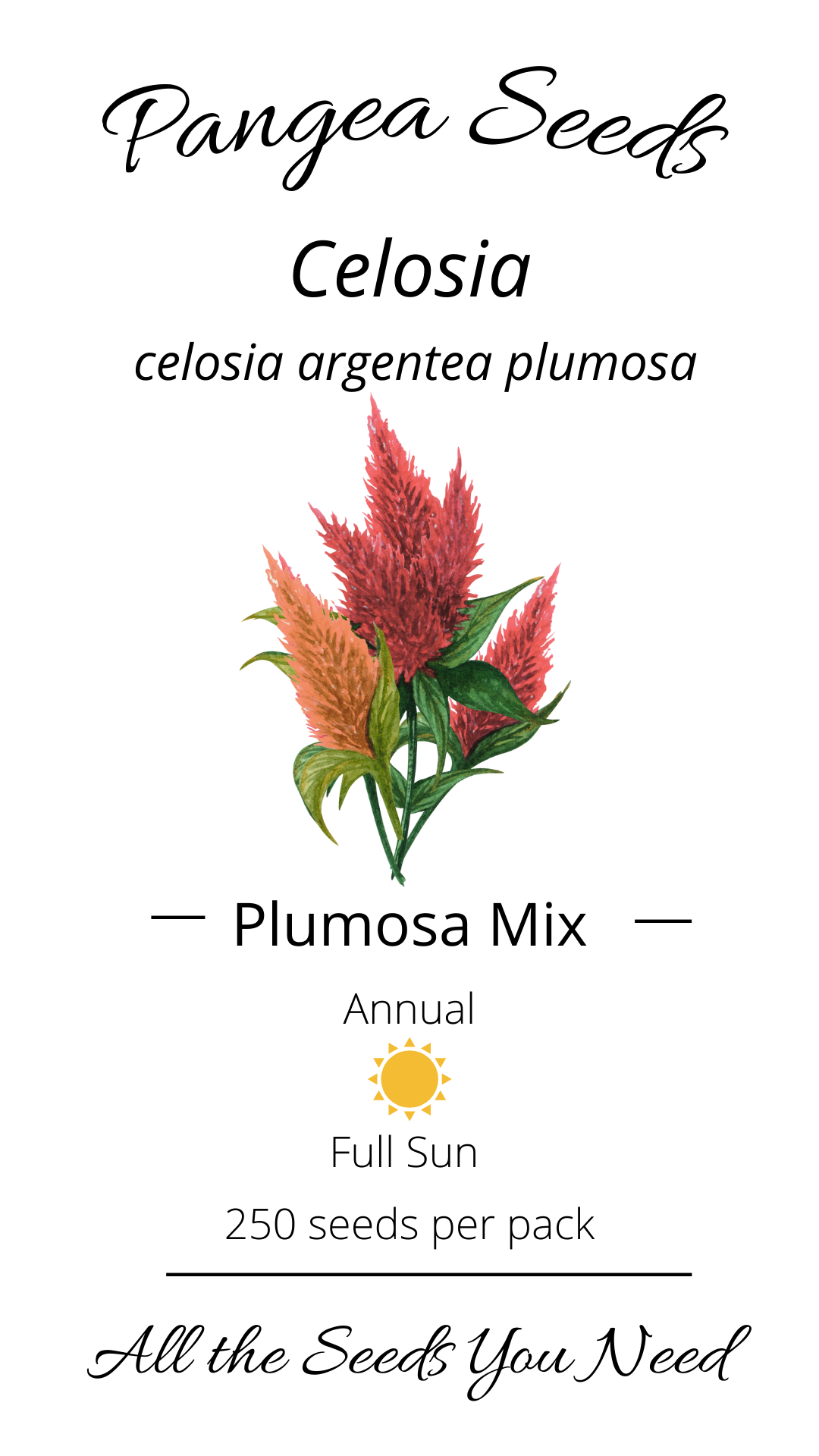 Celosia Plumosa Mix