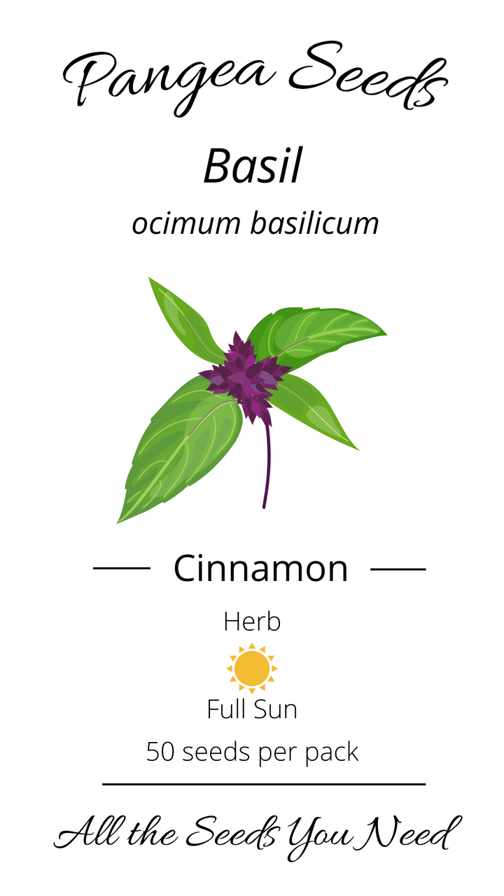 Cinnamon Basil