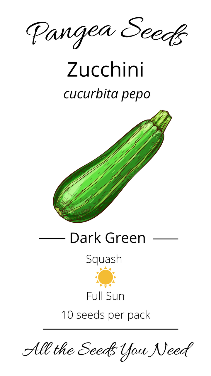 Dark Green Zucchini