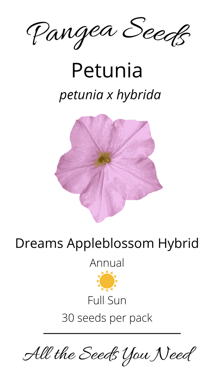 Dreams Appleblossom Hybrid Petunia