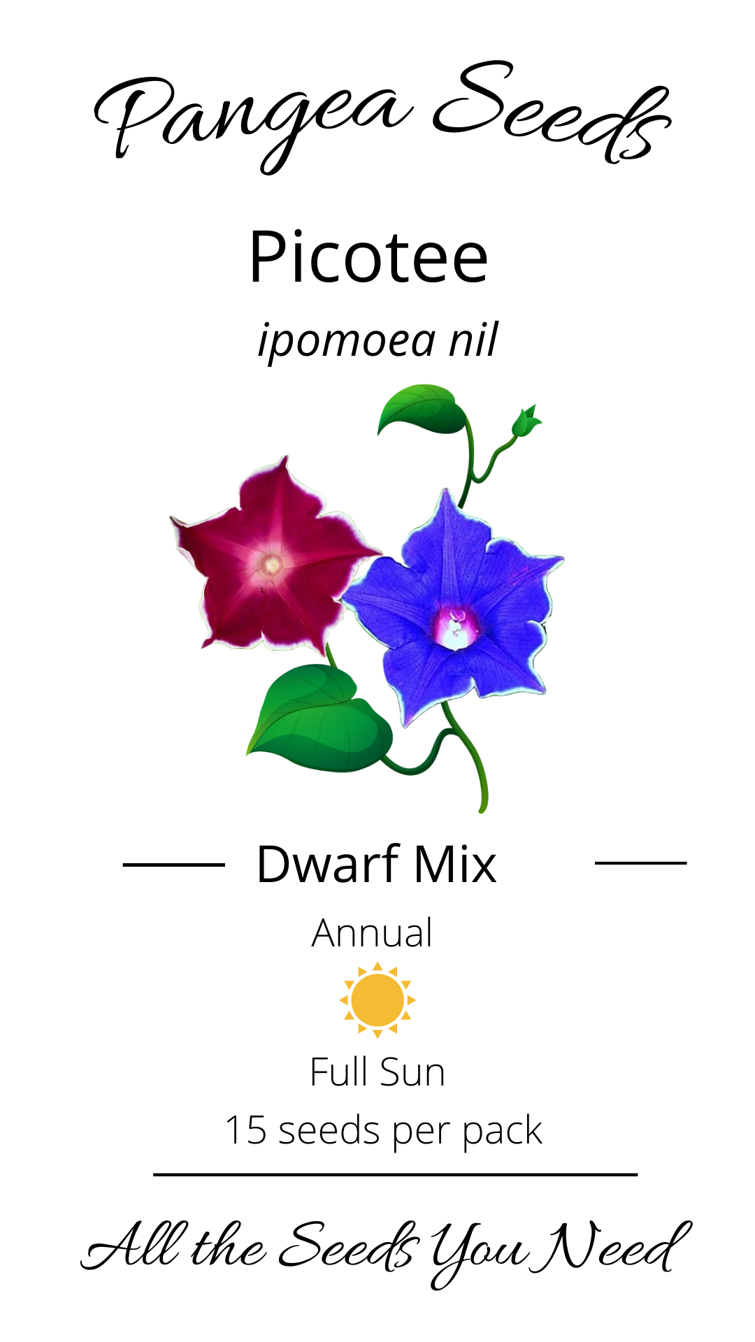 Dwarf Picotee Morning Glory Mix