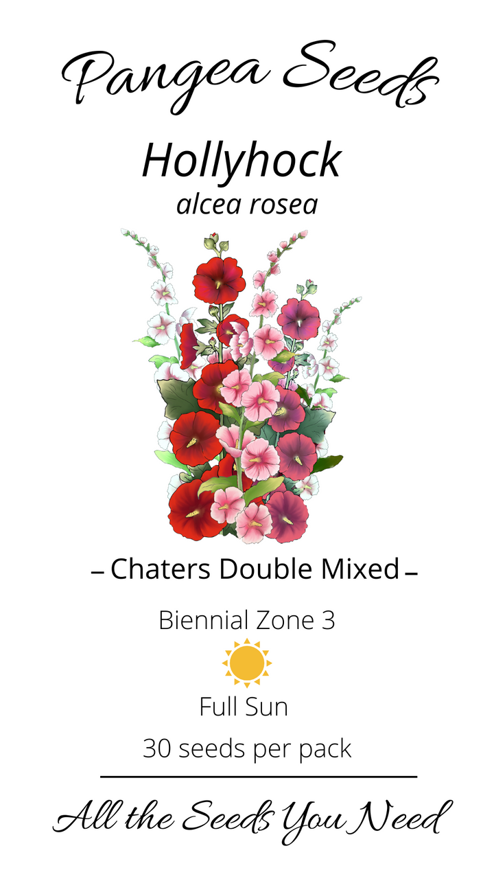 Hollyhock Chaters Double Mixed