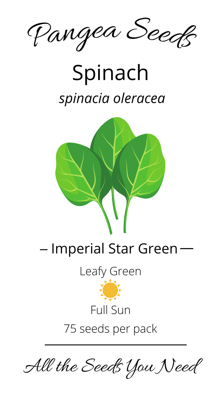 Imperial Star Green Spinach